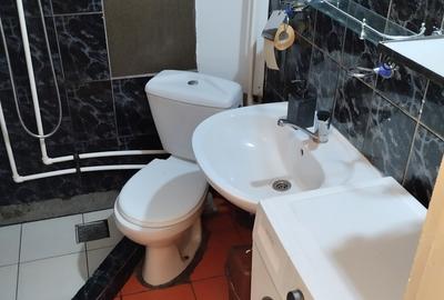 Giurgiului nr. 164, M. Eroii Revolutiei, 20 minute de Piata Unirii cu STB - 10