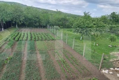 Casă cu 4 camere cu Teren 1800 Mp în Central - 2