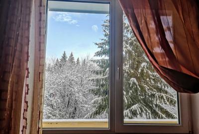 Apartament cu 2 camere decomandat în Predeal - 8