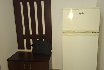 Garsonieră semidecomandată, mobilată în Teiul Doamnei - 6