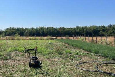 Spațiu comercial, în Grădiștea - 4