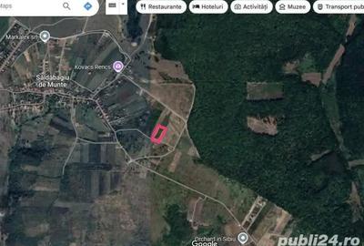 Teren de 3000 mp, în Săldăbagiu de Munte - 6