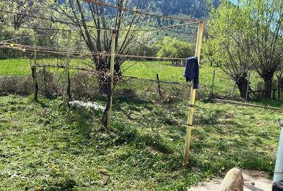 Casă cu 2 camere cu Teren 3800 Mp în Nucșoara - 7