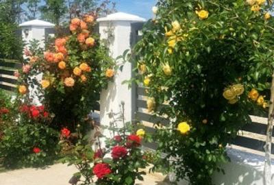 Casă individuală cu 4 camere cu Teren 350 Mp în Central - 10