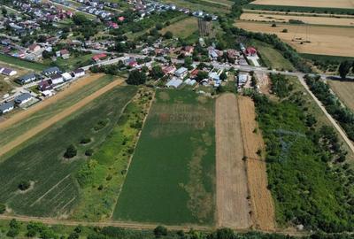 Teren Constructii Intravilan 4750mp SABARENI - 0% COMISION - 7