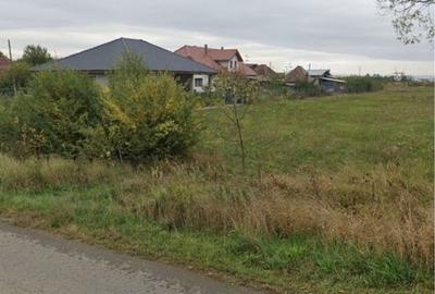 Spațiu comercial, în Dacia - 1