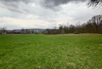 Teren intravilan de 9370 mp, în Țebea - 1