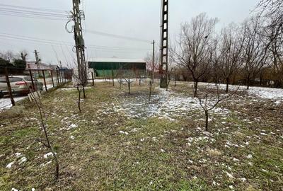 Teren de 1247 mp, în Ariceștii Rahtivani - 6