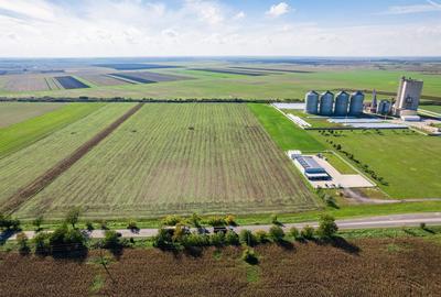 Teren de 104000 mp, în Vinga - 8