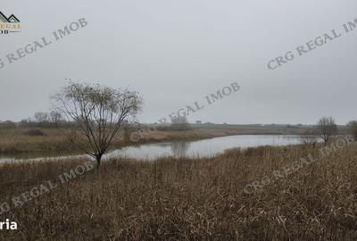 Spațiu comercial, în Dobreni