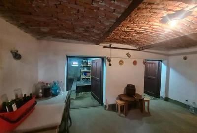 Poveste saseasca la umbra vitei de vie, cu crama si gradina cu flori, Central Co - 52