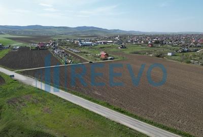 Teren de vanzare, Com. Nicolae Balcescu, Jud. Bacau - 8