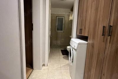 Apartament cu 2 camere semidecomandat în Dumbrăvița - 10