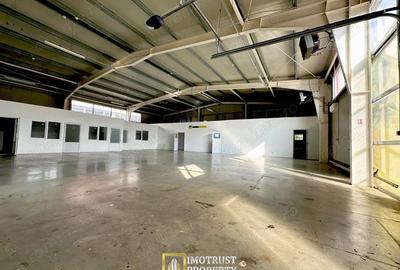 Spațiu comercial, de 800 mp, în Micălaca