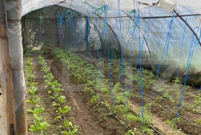 Casa de vanzare in Hida - 33