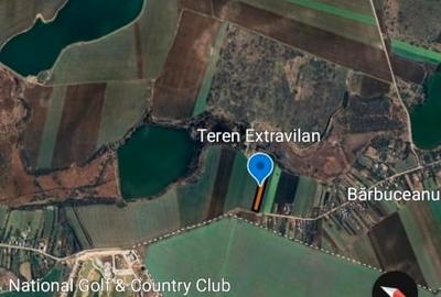 Teren - Barbuceanu - 10.000 mp - 3