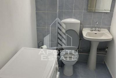 Garsonieră decomandată în Mehala - 3