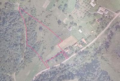 Teren de 12500 mp, în Central - 5