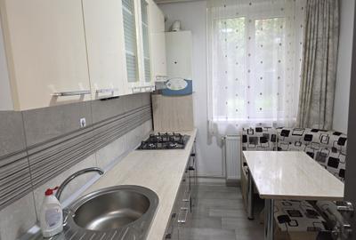 Apartament cu 2 camere semidecomandat în Craiovei - 4