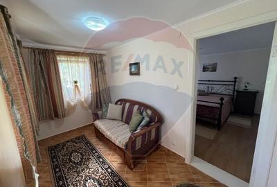 Casa 5 camere Bordeasca Veche - 17
