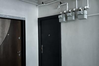 Apartament cu 2 camere semidecomandat în Rahova - 13