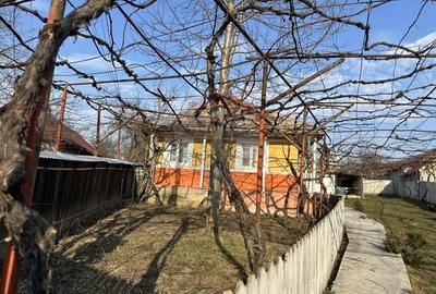 Casă cu 3 camere cu Teren 2609 Mp în Bârgăuani - 1