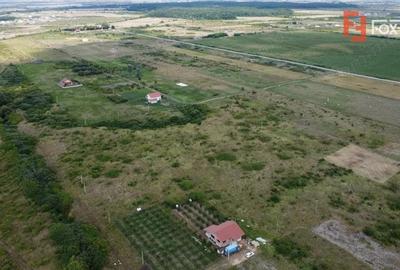 COMISION 0% Casa individuala cu 3 camere si teren de 752 mp - Mosnita - 3