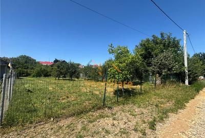 TEREN INVESTITIE BAILE FELIX /P 4/ FRONT 18 ML/750 MP - 6