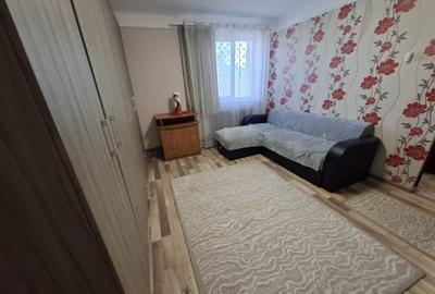 Apartament cu 2 camere semidecomandat, mobilat în Podu Roș - 2