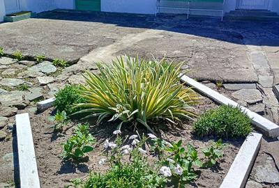 Casă cu 3 camere în Ciortea - 9