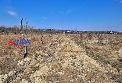 AZURA IMobiliare - Teren Iefin Bascov 3km de Giratoriu - 8