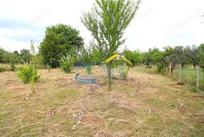 Teren Intravilan de vanzare, Campina - 3