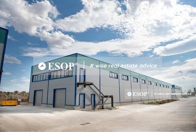 Spațiu industrial, de 600 mp, în Sud-Est - 2