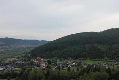 Teren 5023 mp  In Bucovina Zona Manastirea Voronet De Vanzare 0727817187 - 3