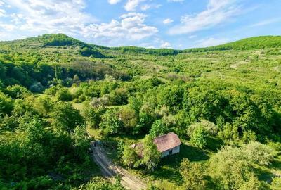 Casă cu 4 camere în Unguraș - 12