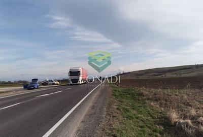 Teren Construcții intravilan de 33500 mp, în Măieruș - 13