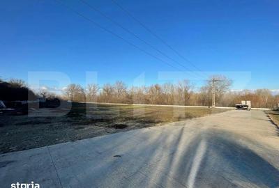Teren de 6500 mp, în Podari - 1