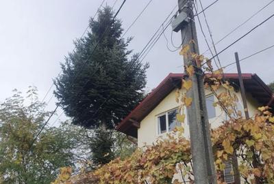 Casă cu 2 camere cu Teren 1500 Mp în Cornu - 7
