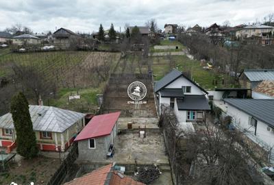 Spațiu comercial, de 155 mp, în Valea Lupului - 4