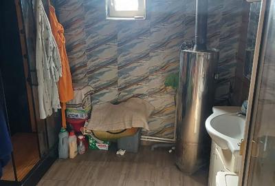 Casă cu Teren 350 Mp în Andrei Șaguna - 8