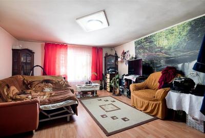 Casă individuală cu 2 camere cu Teren 1600 Mp în Cetariu - 32