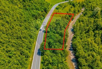 Teren intravilan de 3750 mp, în Brădet - 4