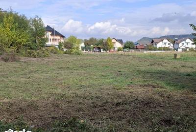 Teren de 2988 mp, în Ostroveni - 7