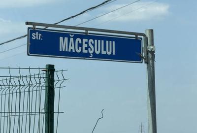 Teren de 1000 mp, în Sântandrei