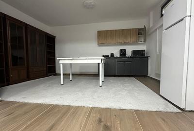 Ansamblu Rezidential / Vile Individuale Cuplate/ Demisol Locuibil - 10