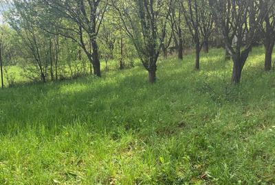 Breaza Vanzare  Pensiune Vila peste  20 camere 200 000eur Breaza Vanzare  Pensiune Vila peste  20 camere 200 000eur - 19