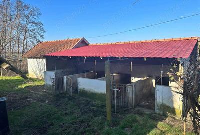 Proprietate de vanzare in Dombegyhaza - Pretabil pentru ferma - 3