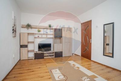 Apartament cu 2 camere semidecomandat, mobilat în Tudor Vladimirescu - 5