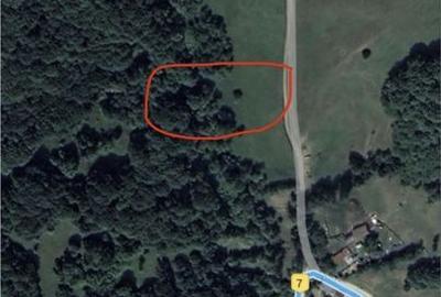 Teren de 5000 mp, în Vișinești - 1