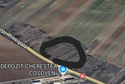 Teren intravilan Cosoveni 1000 mp - 2